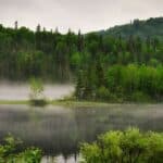 Diverse natural landscape, showcasing the harmonious interplay of ecosystems in human-driven biodiversity conservation