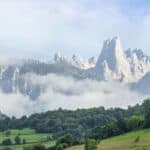 Natural Vegetation And Wildlife