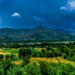 Different Types of Natural Vegetation