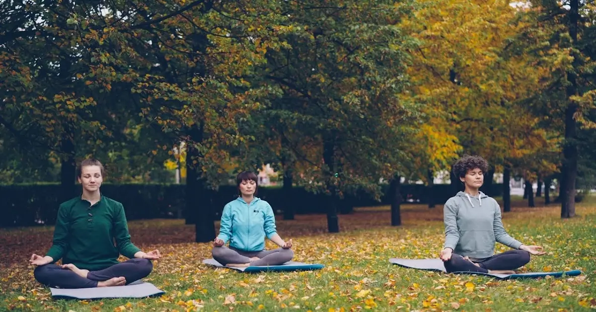 People meditating in a green park showing benefits of natural vegetation for mental well-being
