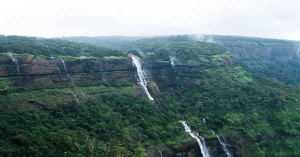 Dense forested hills with waterfalls, representing a biodiversity hotspot landscape in India