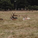 Climate Change Impact on Biodiversity