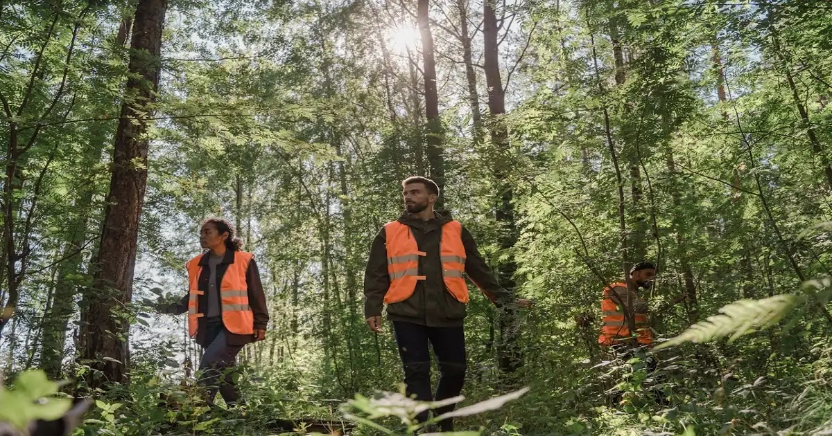 Conservation team monitoring forest ecosystem and protecting wildlife habitat
