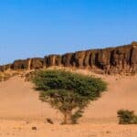 Sweeping sand dunes in the Thar Desert, inviting you to explore its unique features