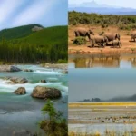 Natural landscapes showing forests, grasslands, wetlands, and freshwater ecosystems supporting biodiversity