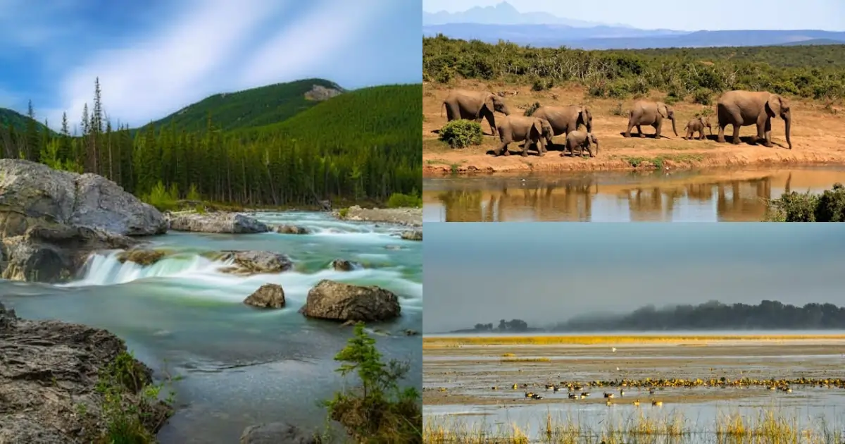 Natural landscapes showing forests, grasslands, wetlands, and freshwater ecosystems supporting biodiversity