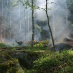 Intense forest fire causing widespread destruction and smoke, highlighting the harmful impacts of forest fire