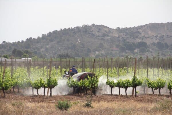 Insecticide being sprayed across an agricultural field, highlighting environmental concerns