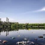 Plastic and other pollutants floating on water, illustrating water pollution.