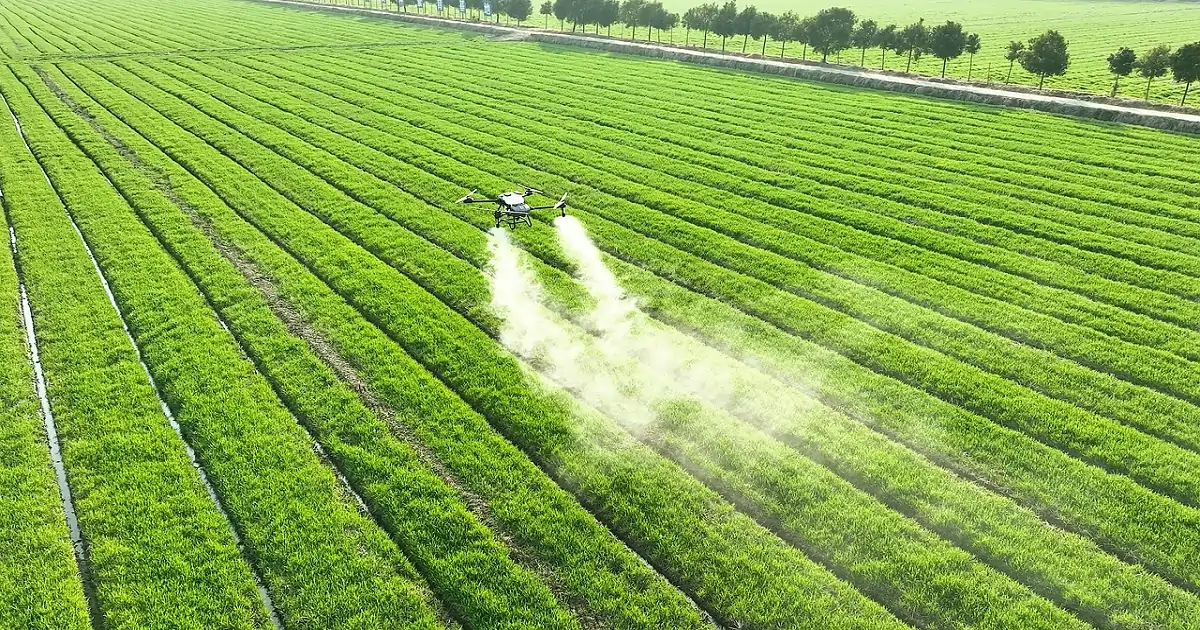 Drone spraying crops in large agricultural field, highlighting modern farming practices and pollution risks