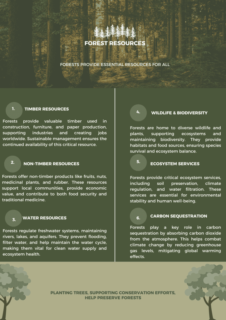 Infographic explaining key forest resources like timber, water, and biodiversity.
