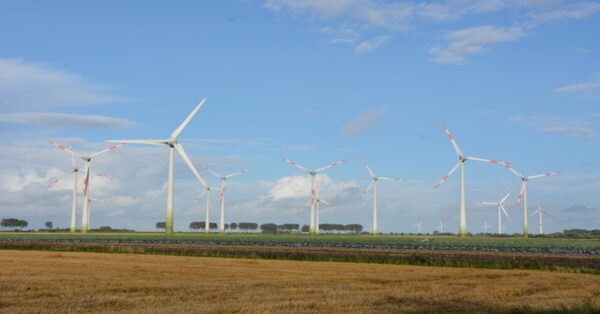 Wind turbines generating renewable energy in an open field under a clear sky.