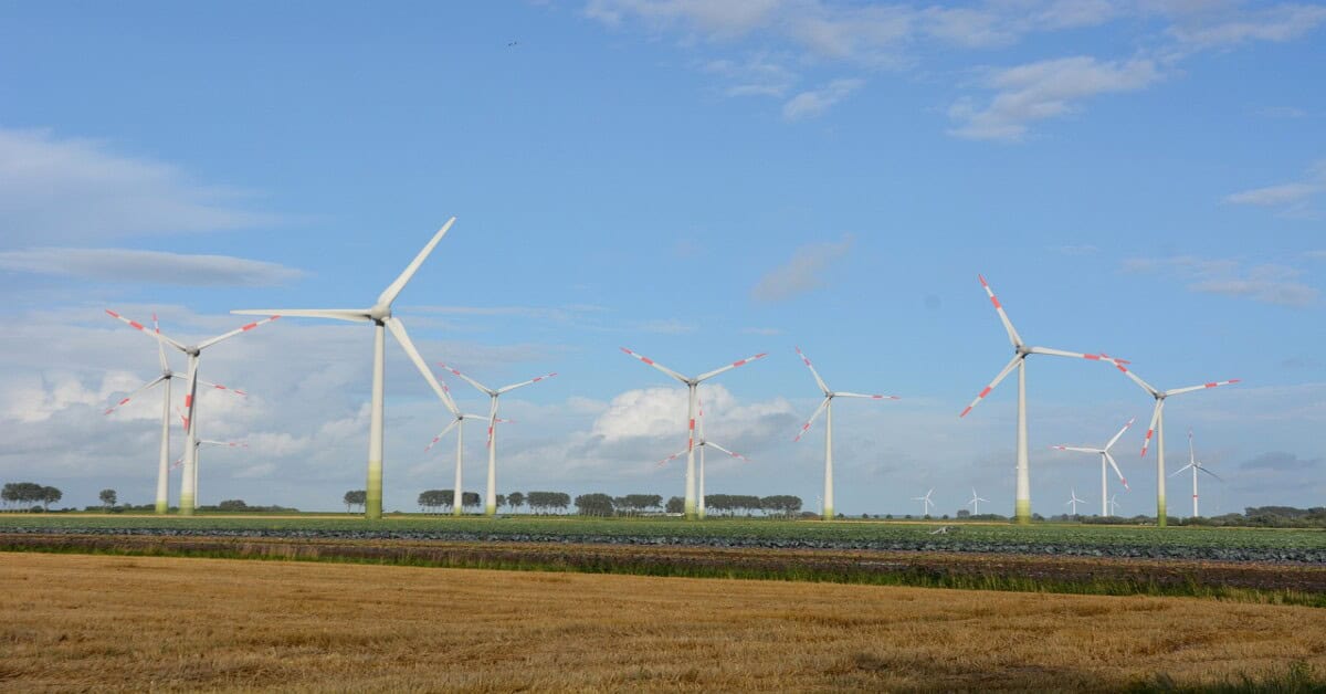 Wind turbines generating renewable energy in an open field under a clear sky.