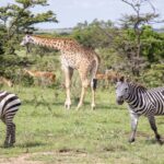 A group of diverse animals in their natural habitat symbolizing wildlife diversity.