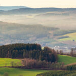 A serene, naturally clean environment featuring lush greenery and clear blue skies.