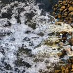 Wastewater pipes discharging untreated effluents into a river, a major source of water pollution