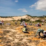 Volunteers planting trees together to promote environmental conservation and sustainable community efforts.