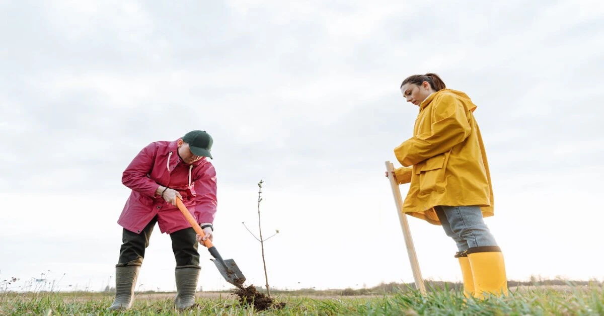 Volunteers planting young trees to promote afforestation and improve environmental sustainability.