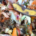 Kitchen scraps, including vegetable peels and leftover food, as biodegradable waste for composting.