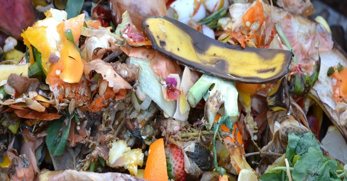 Kitchen scraps, including vegetable peels and leftover food, as biodegradable waste for composting.