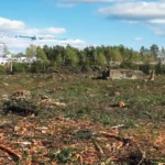 A deforested land with cleared trees, showing exposed soil and remnants of vegetation, highlighting human impact on forests.