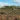 A deforested land with cleared trees, showing exposed soil and remnants of vegetation, highlighting human impact on forests.