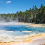 Scenic national park with dense forests and a strict no-human-interference policy for wildlife conservation.