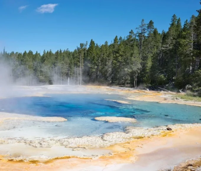 Scenic national park with dense forests and a strict no-human-interference policy for wildlife conservation.