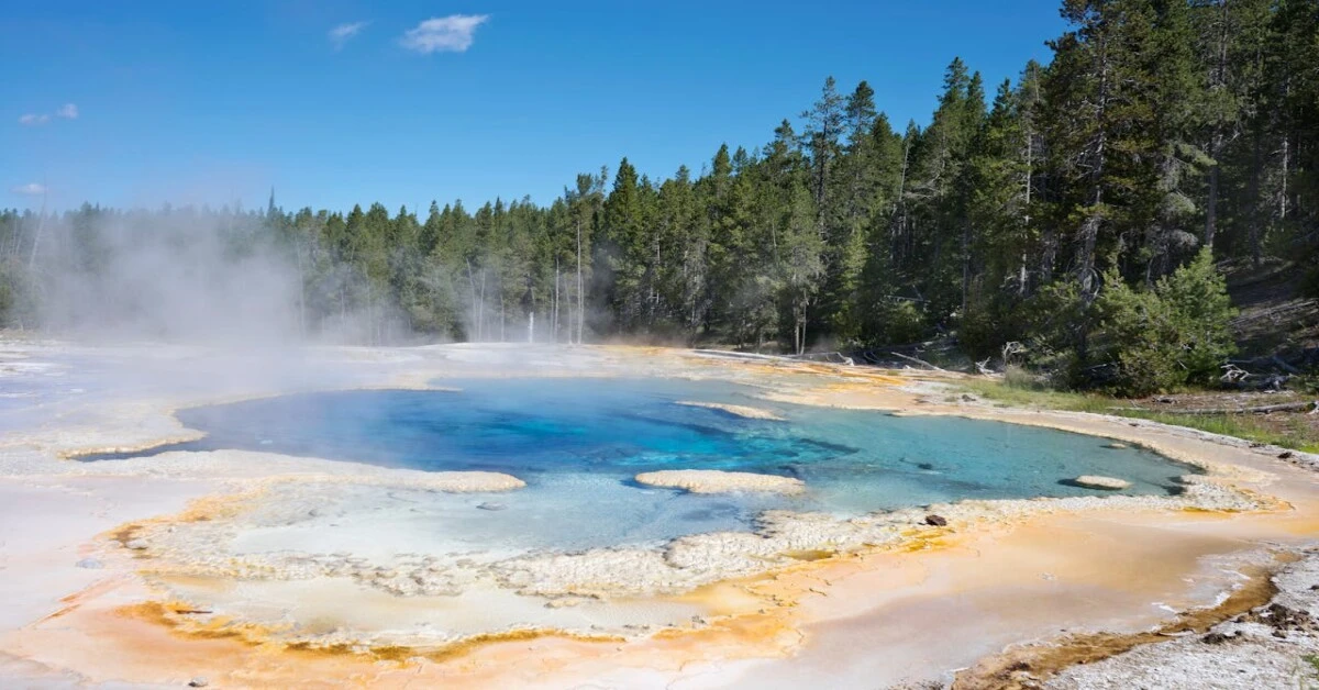 Scenic national park with dense forests and a strict no-human-interference policy for wildlife conservation.