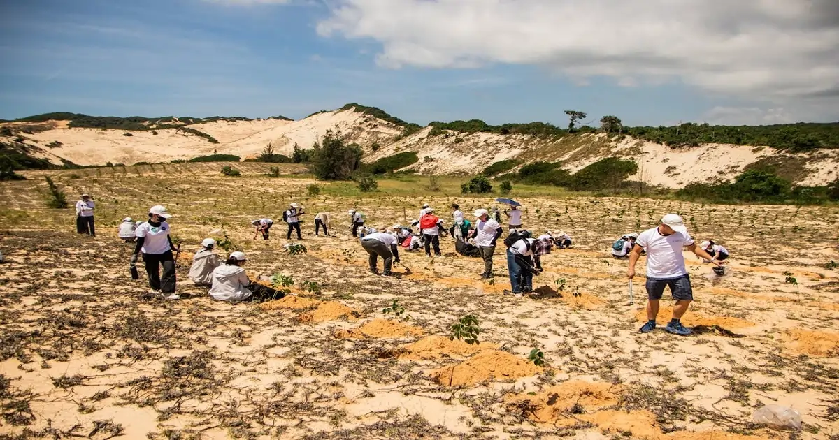 People planting trees as part of habitat restoration and conservation efforts