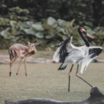 Diverse forest ecosystem showing trees, birds, and animals highlighting rich biodiversity balance