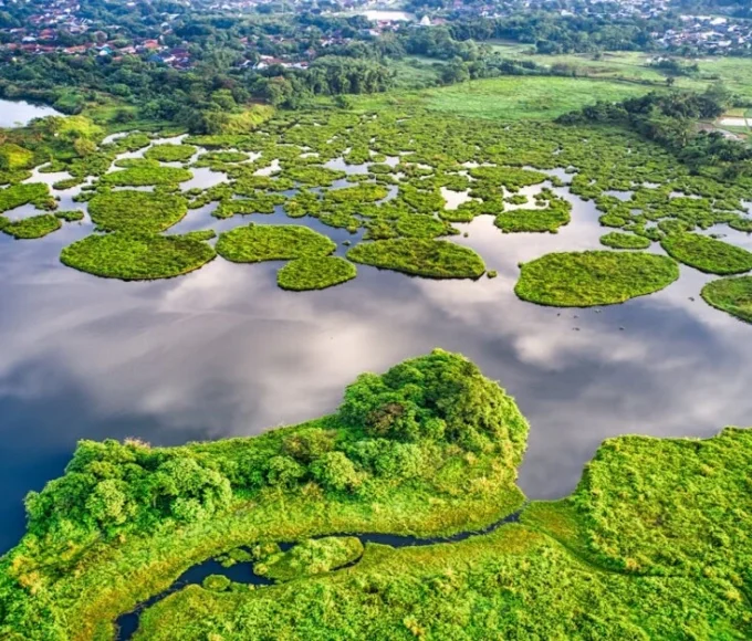 Forest, animals, clean water, and sunlight showing balance in nature to reflect the importance of ecology for sustainability