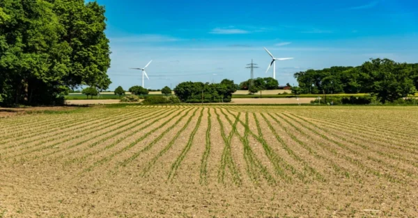 A balanced connection of environment, economy, and society for long-term growth and fairness