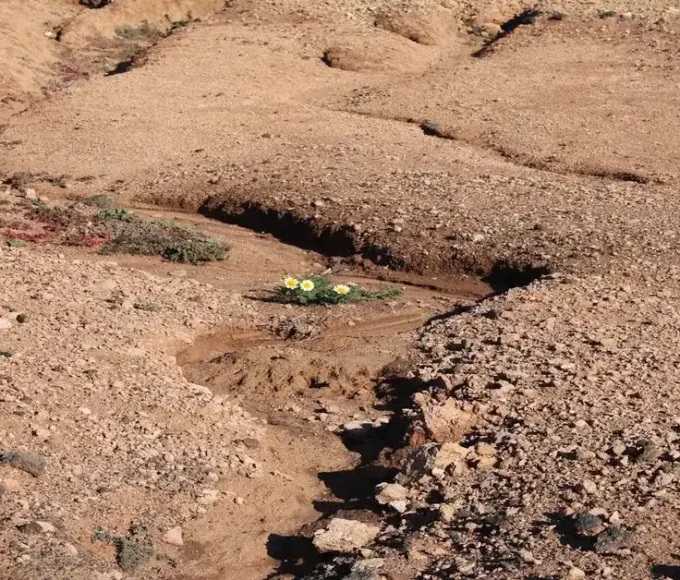 Soil erosion caused by water and wind damaging farmland and removing topsoil