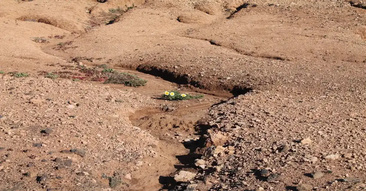 Soil erosion caused by water and wind damaging farmland and removing topsoil
