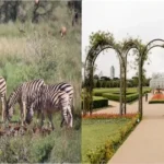 Wild habitat and managed garden showing in situ and ex situ conservation of biodiversity