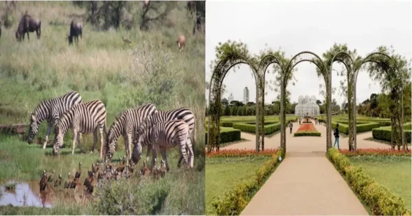 Wild habitat and managed garden showing in situ and ex situ conservation of biodiversity