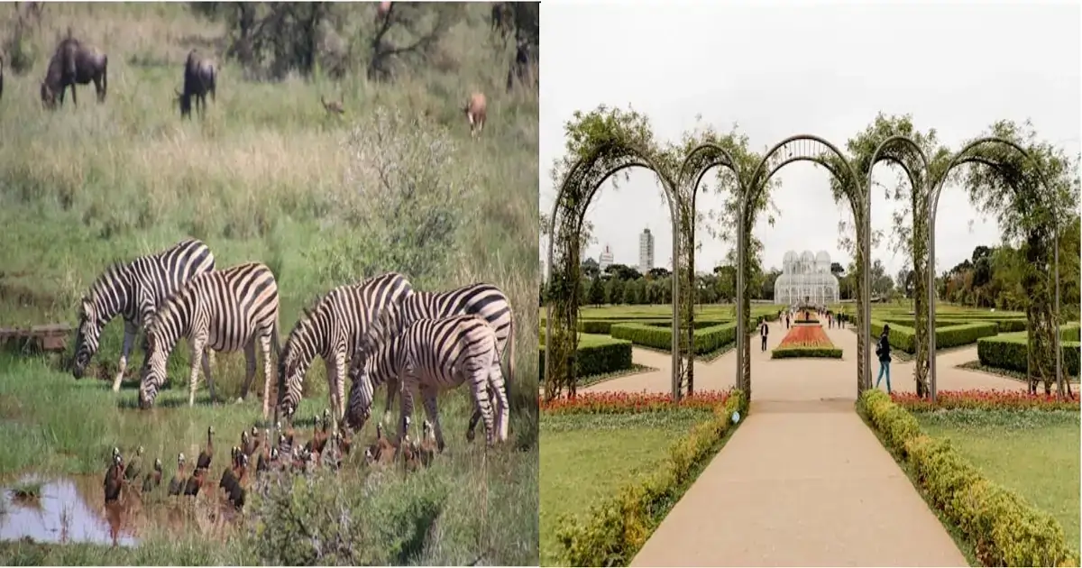Wild habitat and managed garden showing in situ and ex situ conservation of biodiversity