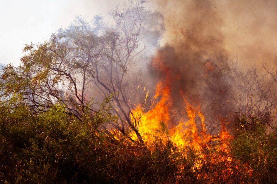 Wildfire releasing smoke and ash into the air, illustrating natural causes of pollution