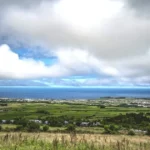 Diverse natural landscape showing forests, grasslands, and coastal ecosystems supporting biodiversity