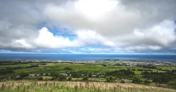 Diverse natural landscape showing forests, grasslands, and coastal ecosystems supporting biodiversity