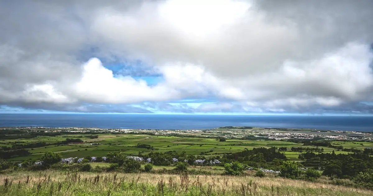 Diverse natural landscape showing forests, grasslands, and coastal ecosystems supporting biodiversity
