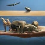 Various animals showcasing animal diversity in animals