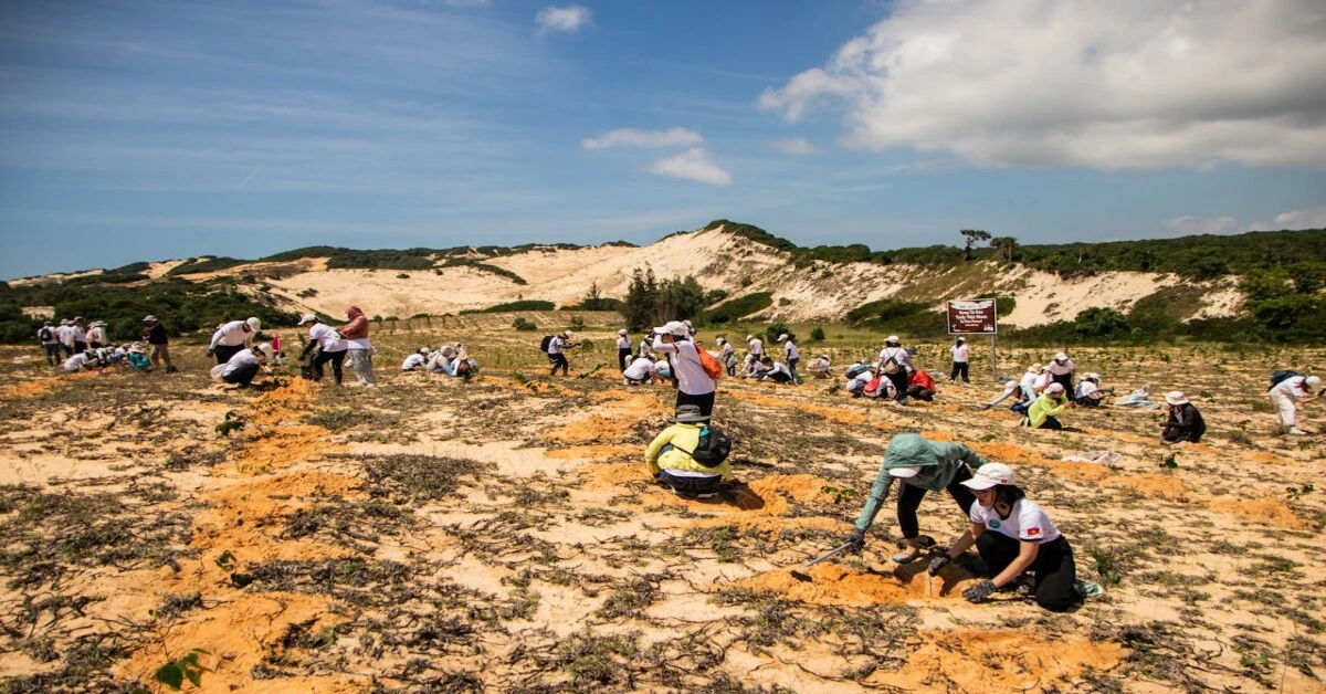 Volunteers planting trees together to promote environmental conservation and sustainable community efforts.