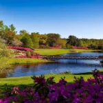 Flora and fauna interacting in natural ecosystems, showing plants and animals sustaining life on Earth