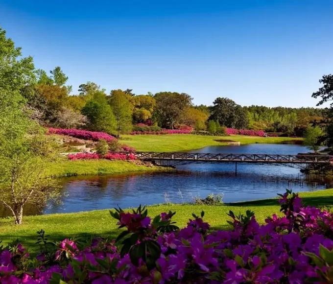 Flora and fauna interacting in natural ecosystems, showing plants and animals sustaining life on Earth